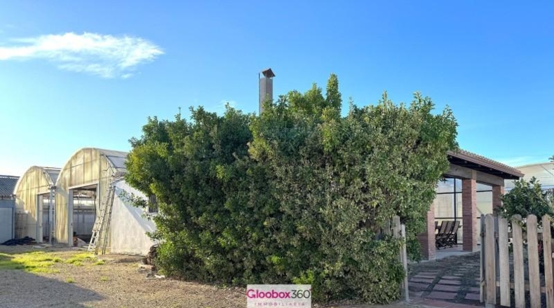 Tarragona - Riudoms - 23640m2