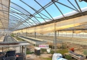 Finca rústica en venta en la España, Riudoms, ref: TR399935 foto