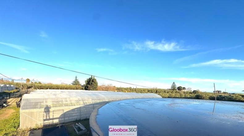 Tarragona - Riudoms - 23640m2