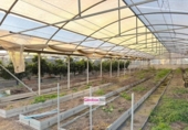Finca rústica en venta en la España, Riudoms, ref: TR399935 foto