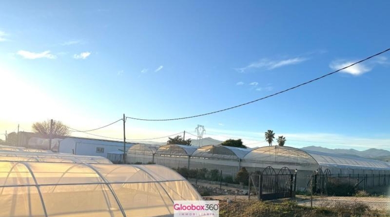 Tarragona - Riudoms - 23640m2