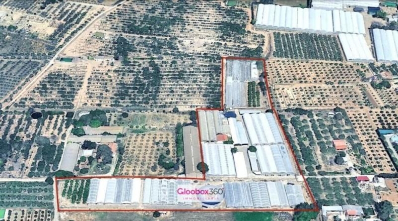 Tarragona - Riudoms - 23640m2