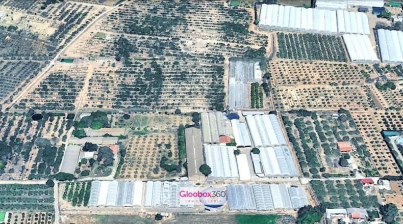 Tarragona - Riudoms - 23640m2