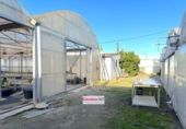 Chalet independiente con terreno en venta en la España, Riudoms, ref: TR400293 foto