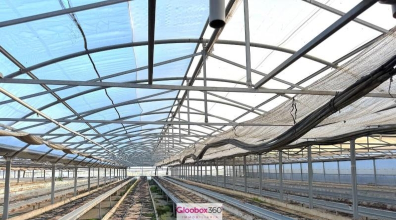 Tarragona - Riudoms - 23640m2