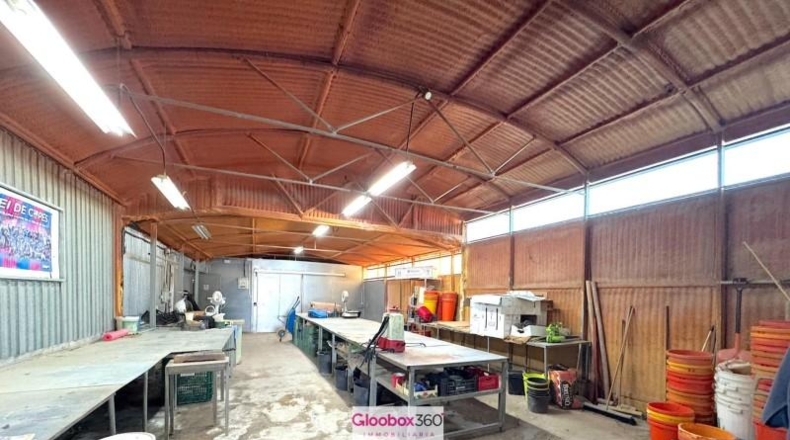 Tarragona - Riudoms - 23640m2