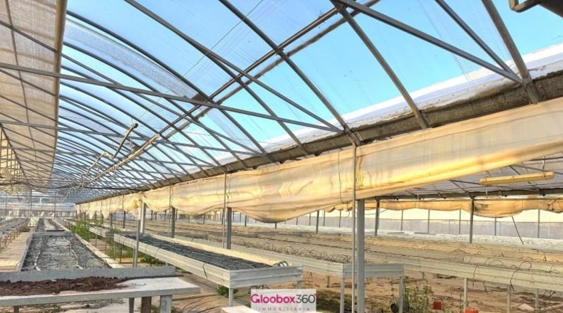 Tarragona - Riudoms - 23640m2