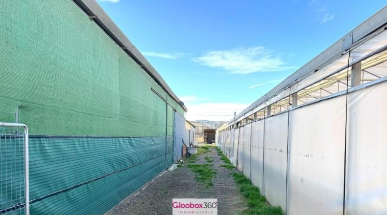 Tarragona - Riudoms - 23640m2