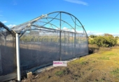 Chalet independiente con terreno en venta en la España, Riudoms, ref: TR400293 foto
