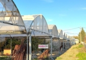 Chalet independiente con terreno en venta en la España, Riudoms, ref: TR400293 foto