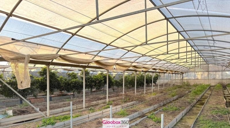 Tarragona - Riudoms - 23640m2
