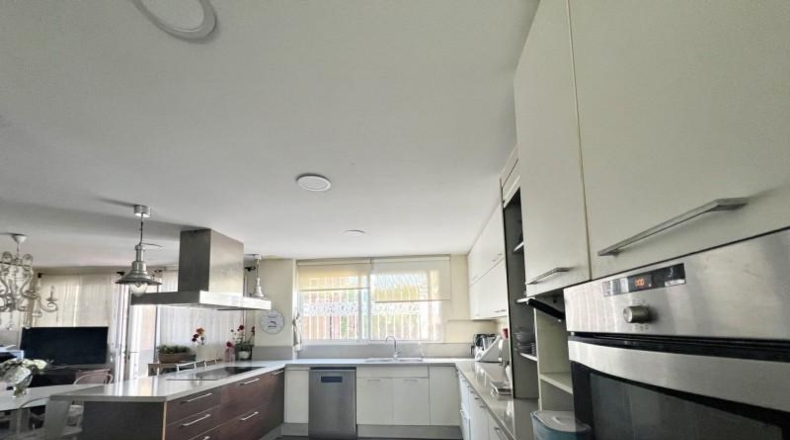 Cadiz - Paterna de Rivera - 508m2