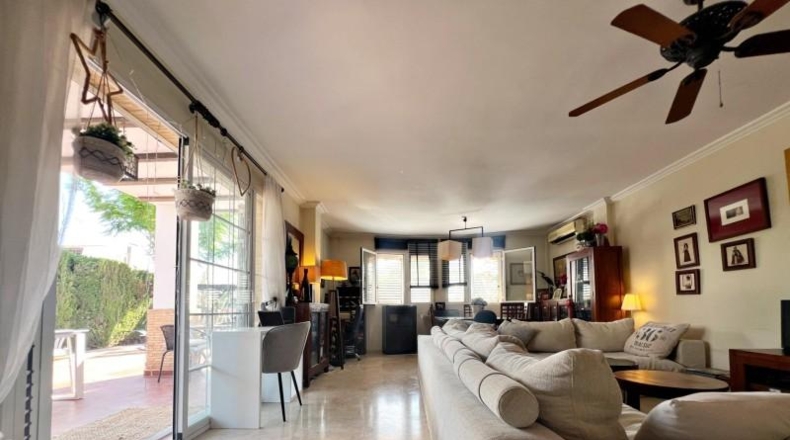 Cadiz - Paterna de Rivera - 508m2