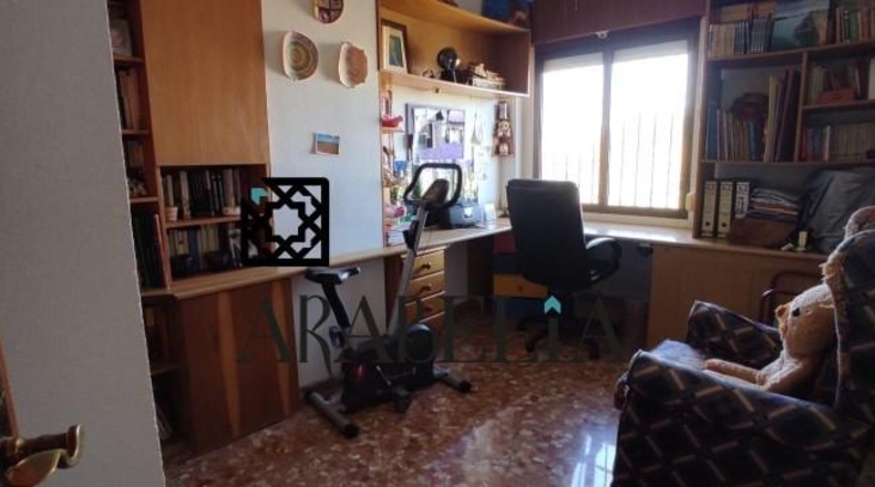 Córdoba - Córdoba - 4281m2