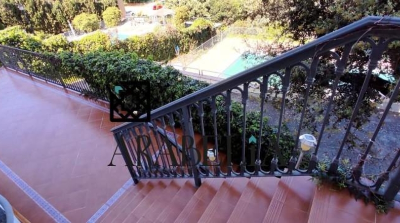 Córdoba - Córdoba - 4281m2