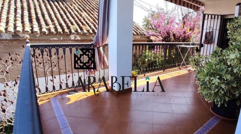 Córdoba - Córdoba - 4281m2