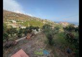 Chalet independiente con terreno en venta en la España, Almuñécar, ref: TR366444 foto