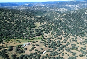 Cazalla de la Sierra 550000&nbsp;m²