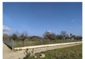 Chalet independiente con terreno en venta en la España, Campanet, ref: TR319223 foto