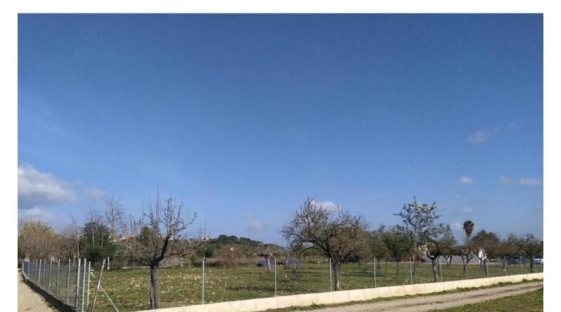 Islas Baleares - Campanet - 3000m2