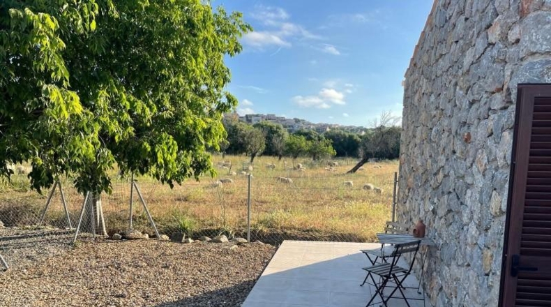 Islas Baleares - Campanet - 3000m2
