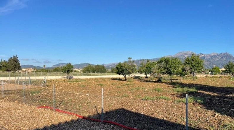 Islas Baleares - Campanet - 3000m2