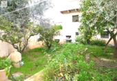 Casa de pueblo en venta en la España, Binissalem, ref: TR377939 foto
