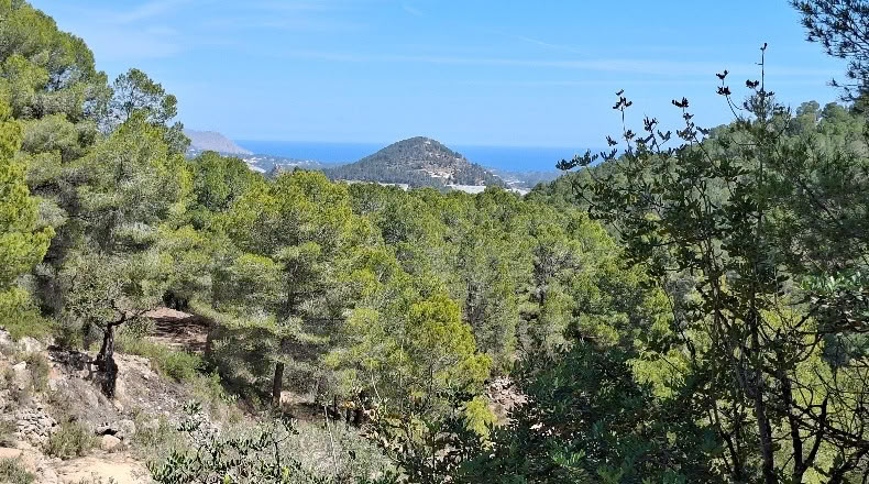 Alicante - Polop - 11000m2