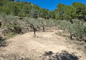 Land suitable for development for sale on Camí de Campulles, Polop, ref: TR412940 photo