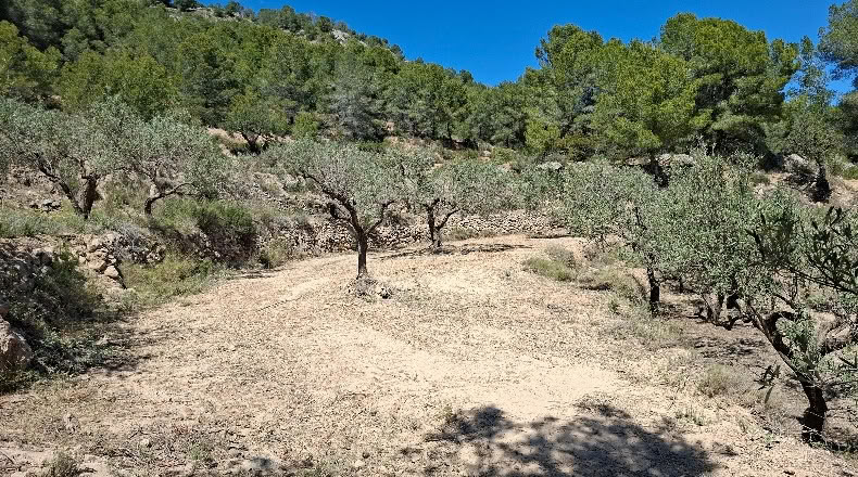 Alicante - Polop - 11000m2