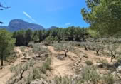 Land suitable for development for sale on Camí de Campulles, Polop, ref: TR412940 photo
