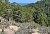 Land suitable for development for sale on Camí de Campulles, Polop, ref: TR412940 photo
