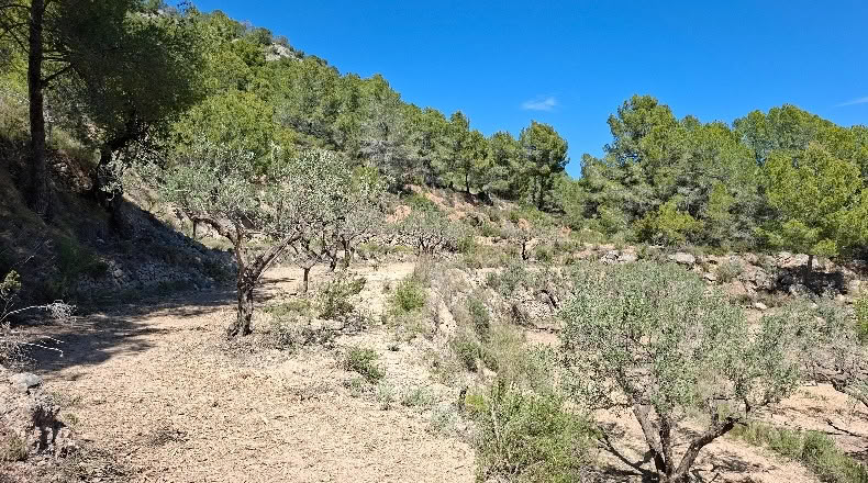 Alicante - Polop - 11000m2