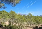 Land suitable for development for sale on Camí de Campulles, Polop, ref: TR412940 photo