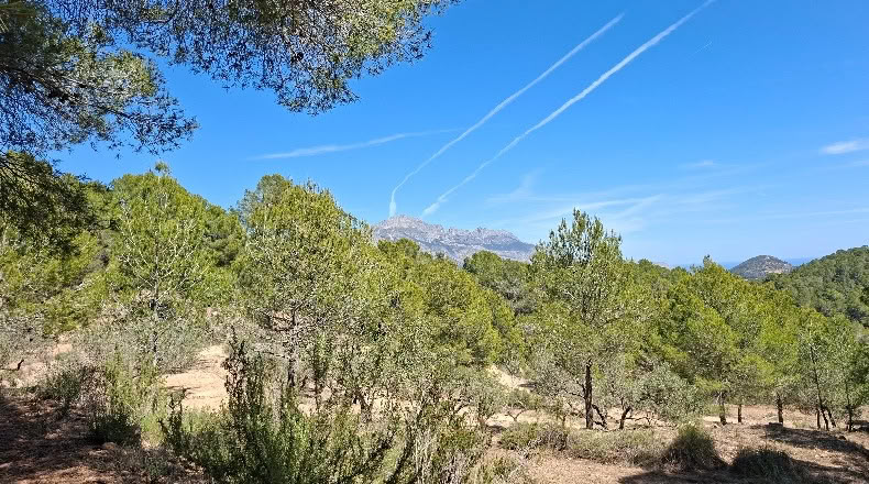 Alicante - Polop - 11000m2