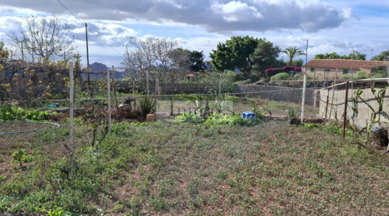 Santa Creu de Tenerife - Arona - 2000m2