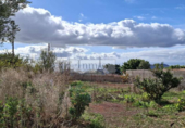 Chalet independiente con terreno en venta en la España, Arona, ref: TR380022 foto