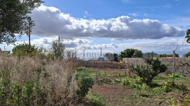 Santa Creu de Tenerife - Arona - 2000m2