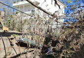 Chalet independiente con terreno en venta en la España, Arona, ref: TR380022 foto