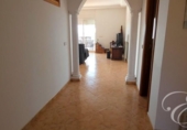 Detached villa with land for sale on España, Periana, ref: TR155667 photo