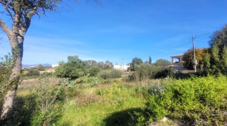 Balearic Islands - sa Cabana - 2400m2