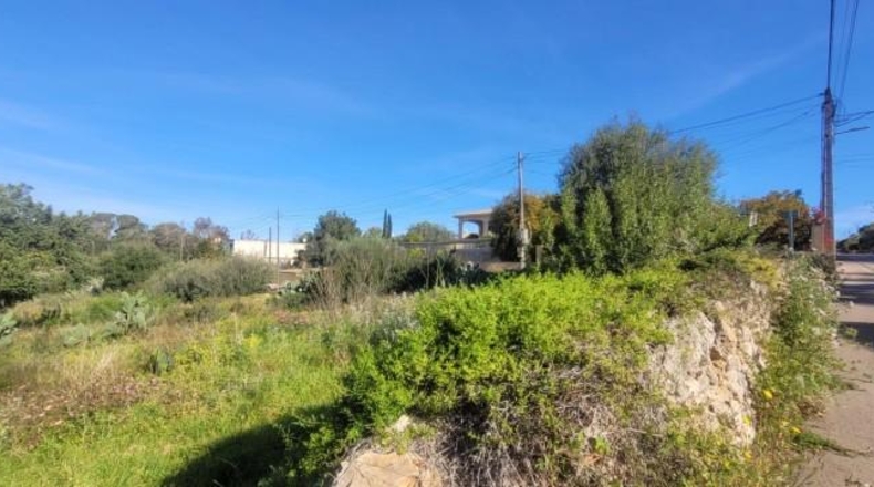 Balearic Islands - sa Cabana - 2400m2