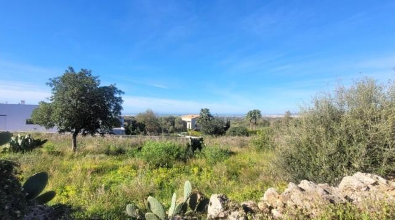 Balearic Islands - sa Cabana - 2400m2