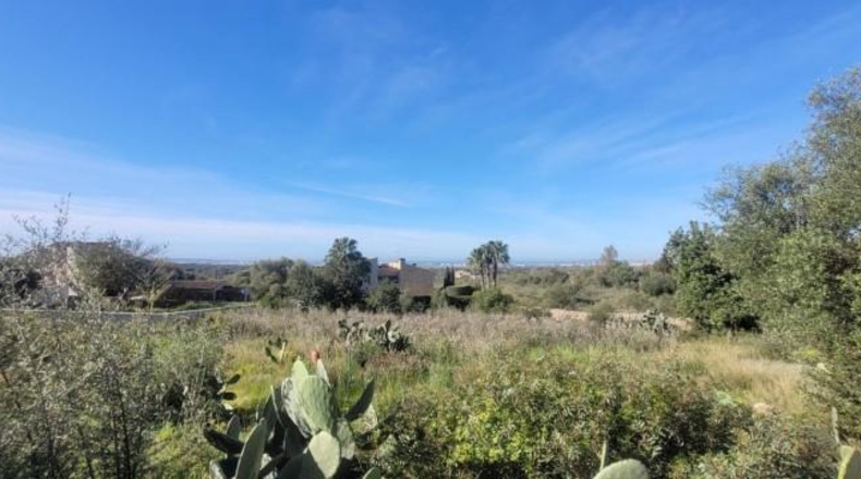 Balearic Islands - sa Cabana - 2400m2