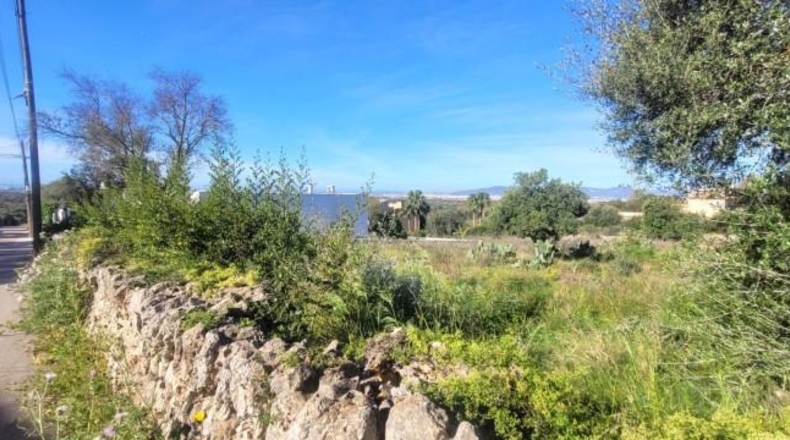 Balearic Islands - sa Cabana - 2400m2