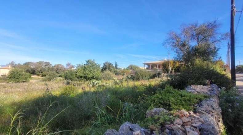Balearic Islands - sa Cabana - 2400m2