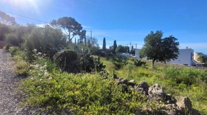 Balearic Islands - sa Cabana - 2400m2