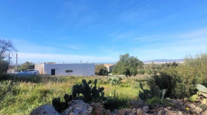 Balearic Islands - sa Cabana - 2400m2
