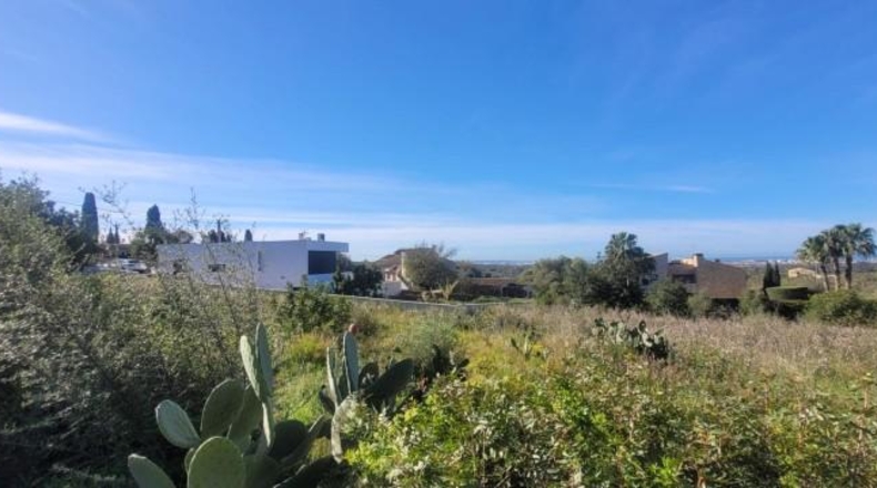 Balearic Islands - sa Cabana - 2400m2