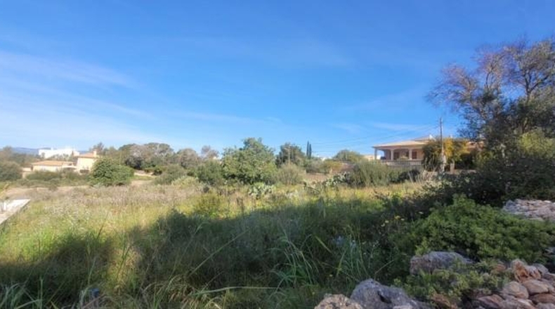 Balearic Islands - sa Cabana - 2400m2
